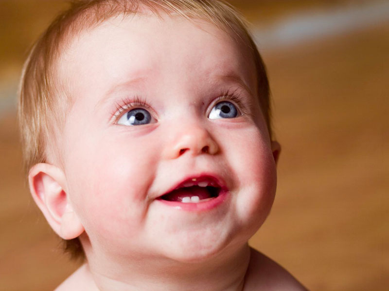 Răng sữa được bắt đầu mọc khi trẻ khoảng 6 tháng tuổi tới khi 25 tháng