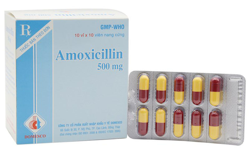 Thuốc kháng sinh Amoxicillin có thể được chỉ định cho bệnh nhân mắc viêm nướu chân răng