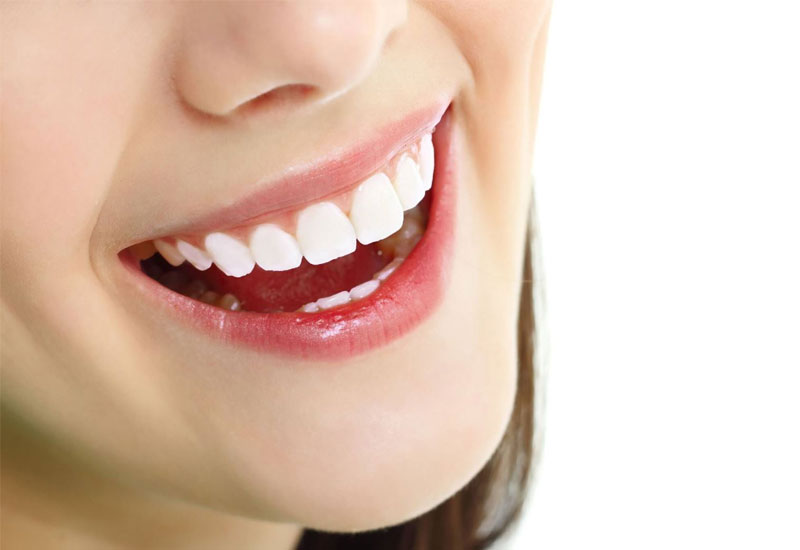 Răng cửa là răng nằm ở vị trí trung tâm của khung hàm