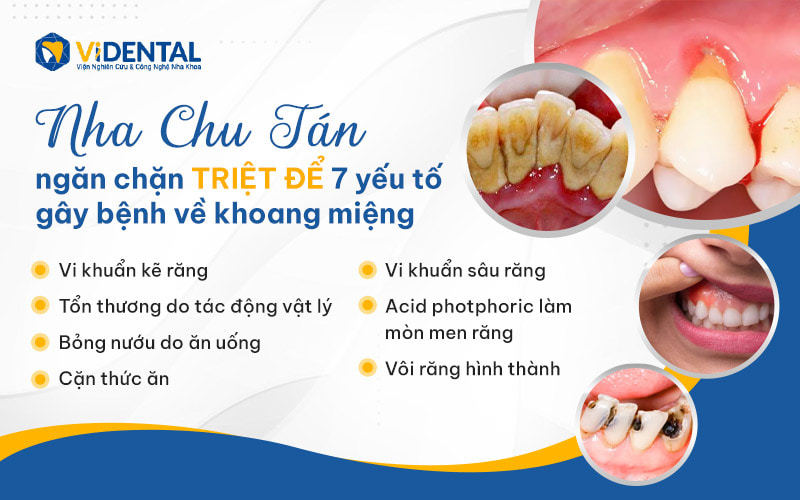 Nha Chu Tán điều trị triệt để các tác nhân gây bệnh răng miệng