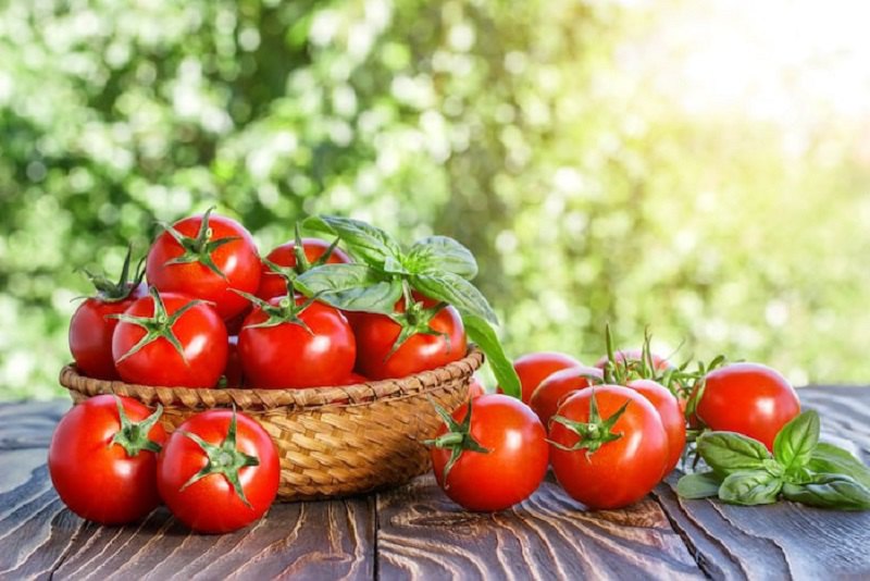 Hạn chế ăn cà chua khi bị viêm nướu